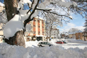 Отель Grand Hotel Europa, Ривизондоли